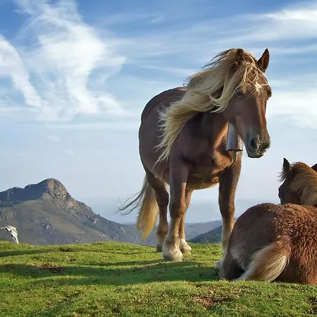 Lejlighed Bel 3 Ch. Terrasse Parking *